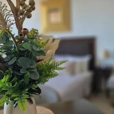 Apartmán Patrick's - Royal